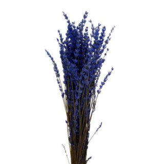 LAVANDA PRESEVADA1