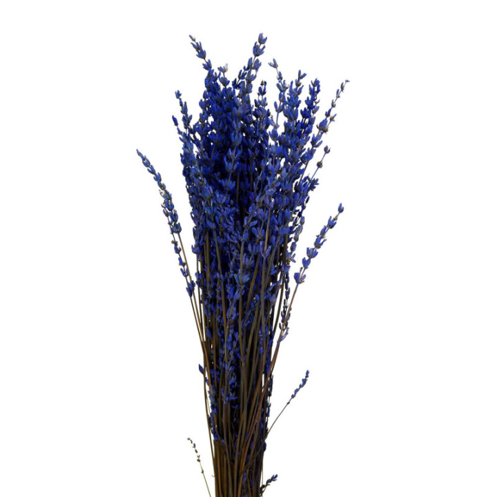 LAVANDA PRESEVADA1