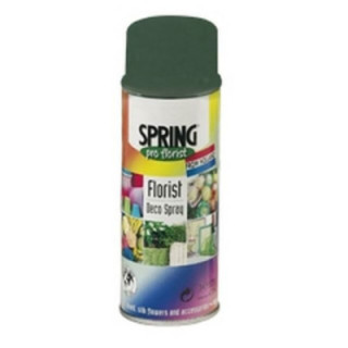 SPRAY DE COLOR PARA FLOR NATURAL MOSS GREEN 400ML1