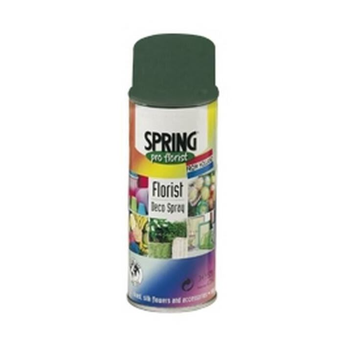 SPRAY DE COLOR PARA FLOR NATURAL MOSS GREEN 400ML1