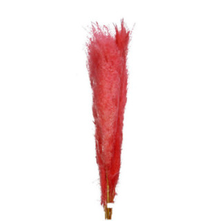 CORTADERIA ROSA 1101
