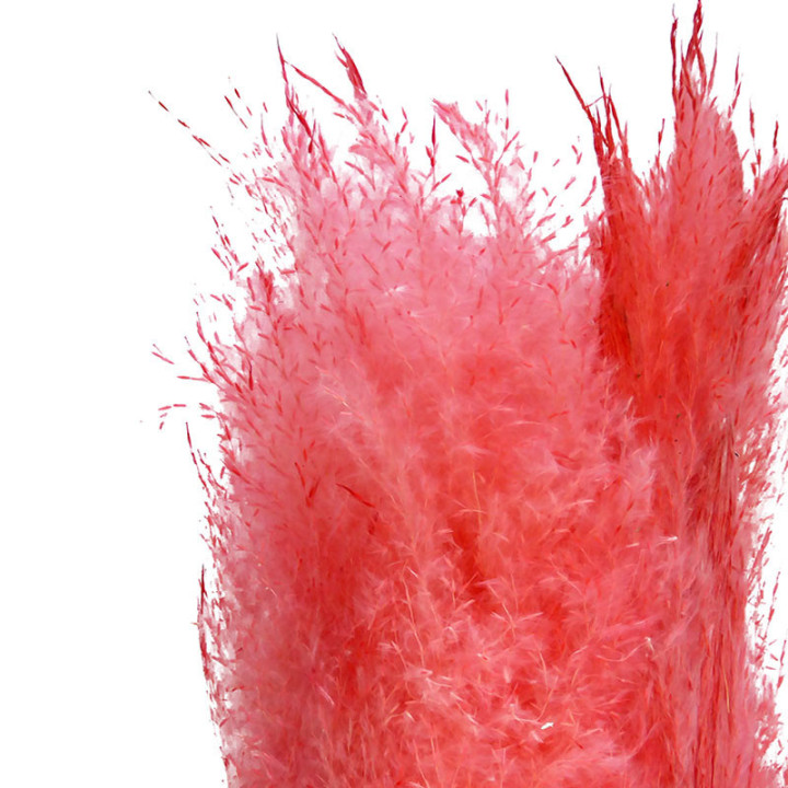 CORTADERIA ROSA 1102