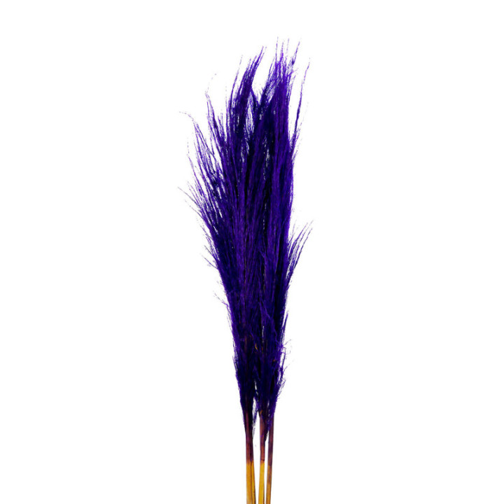 CORTADERIA MORADA 1201