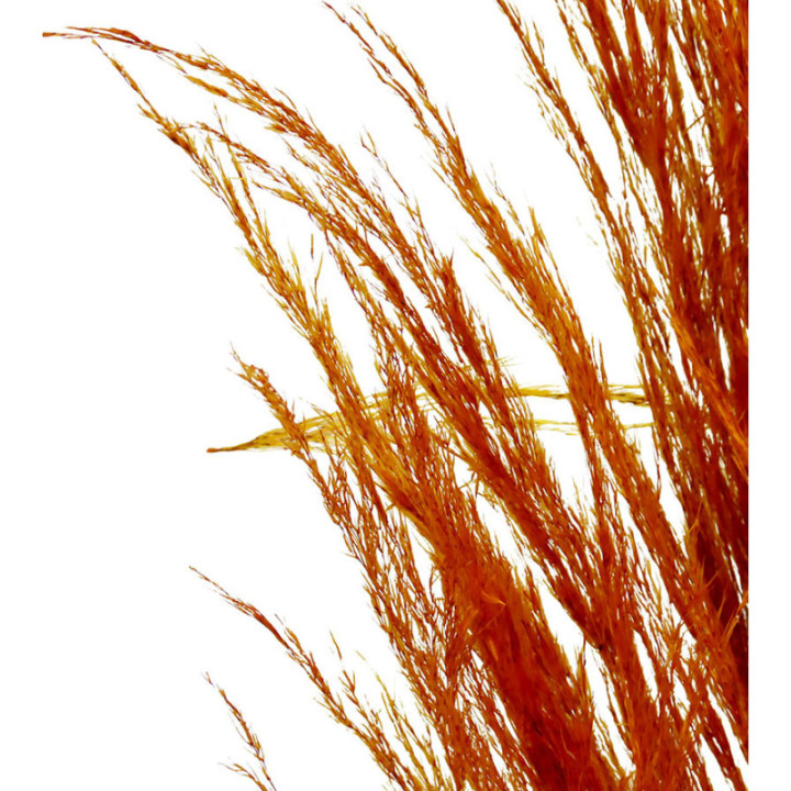 CORTADERIA NARANJA 1202