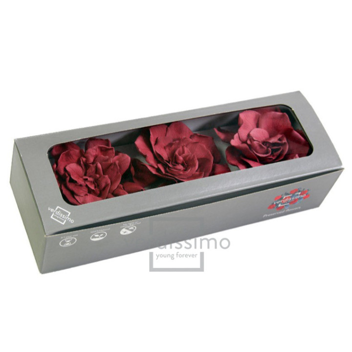 GARDENIA PRESERVADA 3UND GAR/24702