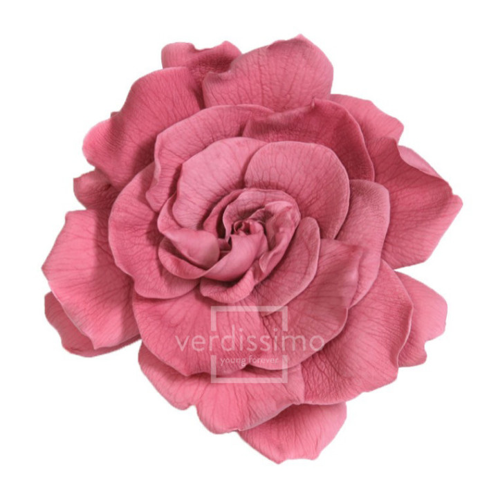 GARDENIA PRESERVADA 3UND GAR/24801