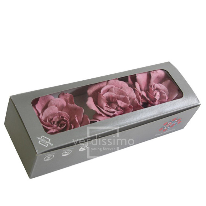 GARDENIA PRESERVADA 3UND GAR/24802