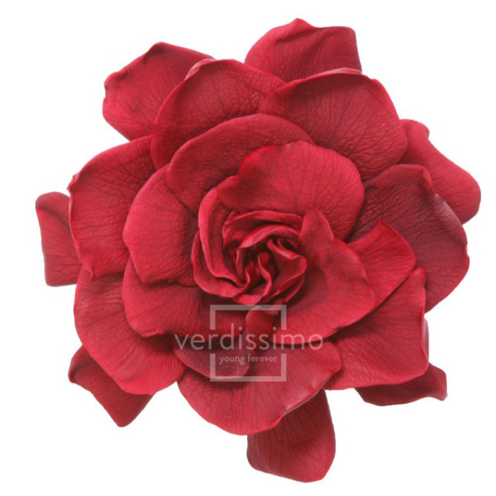 GARDENIA PRESERVADA 3UND GAR/28001
