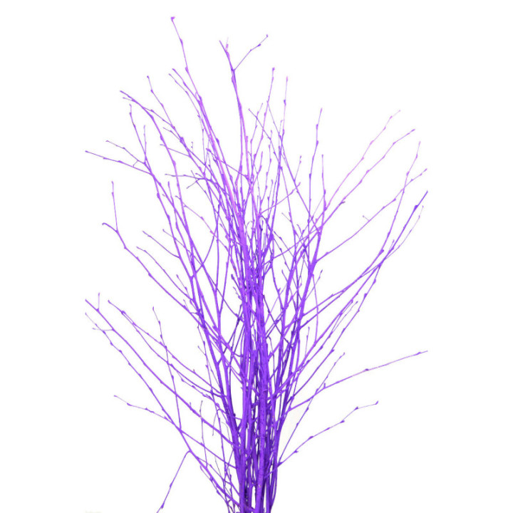 BERK MORADO1
