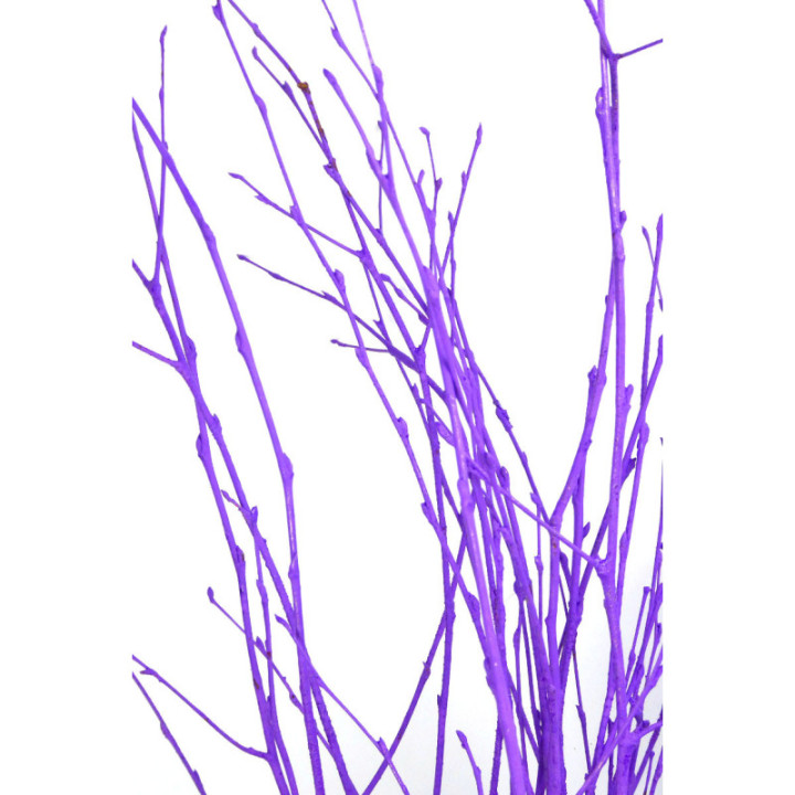 BERK MORADO2