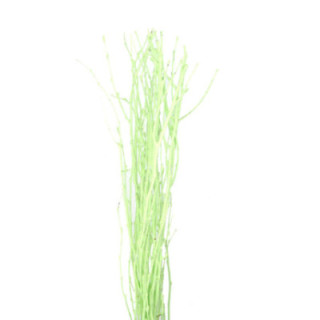 BERK VERDE1