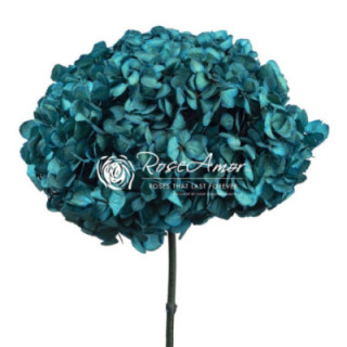 HORTENSIA PRESERVADA BLUE 061