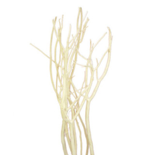 MITSUMATA SECO BLANCO 115 X31