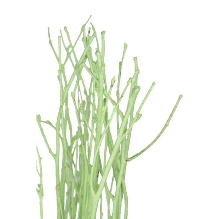 BERK VERDE2