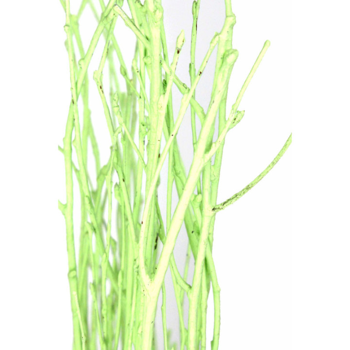 BERK VERDE3