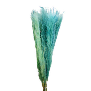 CORTADERIA AZUL CLARO 1201