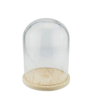 CUPULA DE CRISTAL BASE DE MADERA 15*25CM1