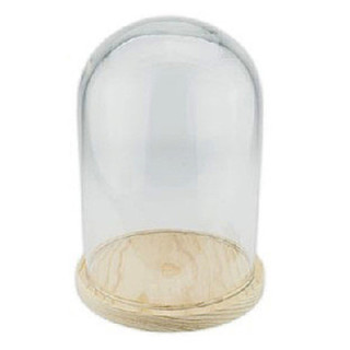 CUPULA DE CRISTAL BASE DE MADERA 15*30CM1