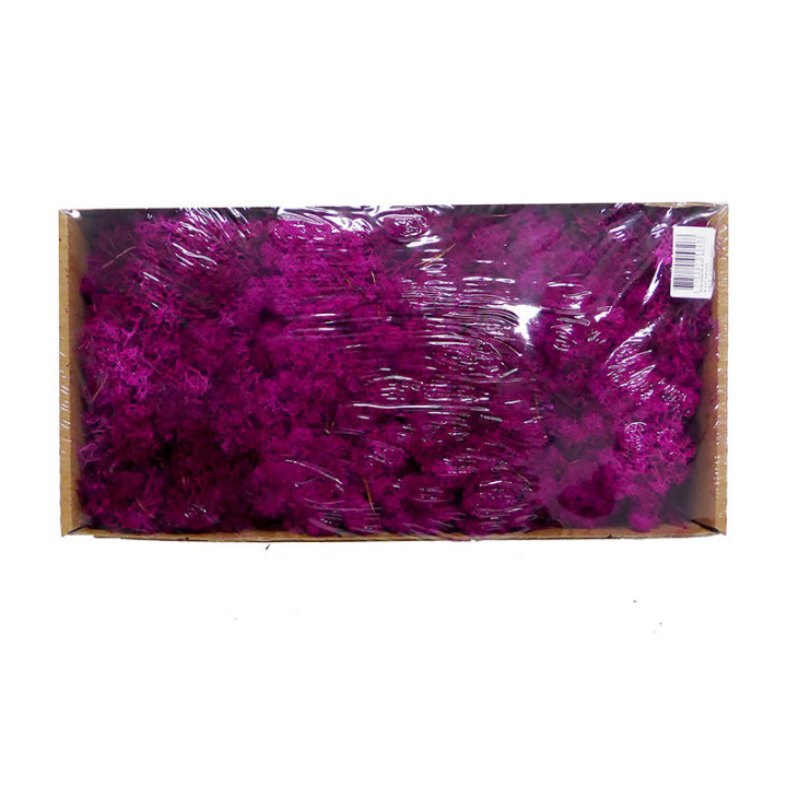 MUSGO PRESERVADO POLAR FUCHSIA1