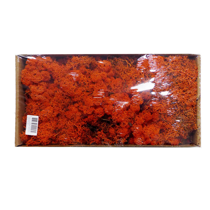 MUSGO PRESERVADO POLAR ORANGE1