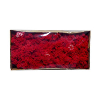 MUSGO PRESERVADO POLAR ROJO1