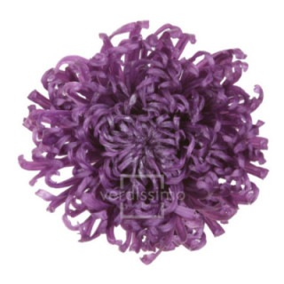 ANASTASIA PRESERVADA PURPURA ANA/28401