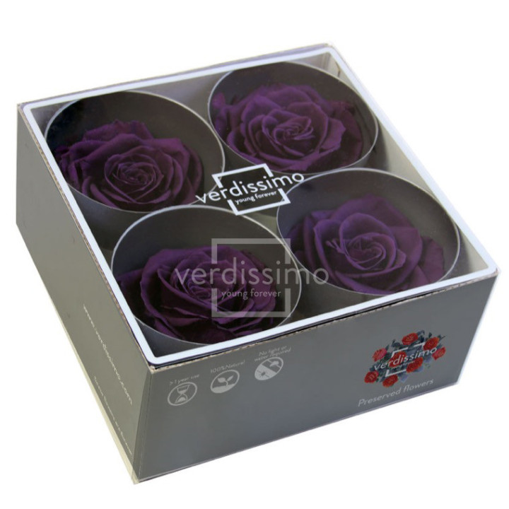 ROSA PRESERVADA PREMIUM 4 UNID RSG/28402