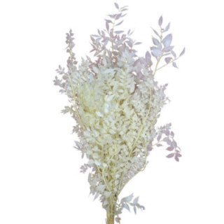 RUSCUS FINO PRESERVADO BLANCO1