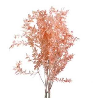 RUSCUS FINO PRESERVADO MELOCOTON1