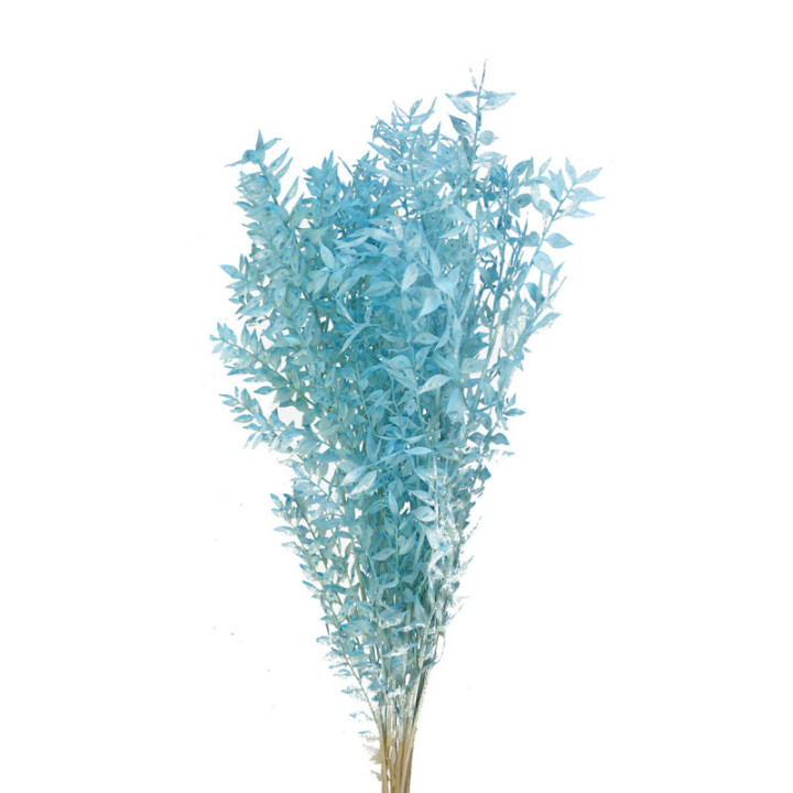 RUSCUS FINO PRESERVADO AZUL CLARO1