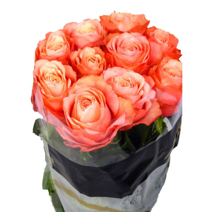 ROSA HOL. KAHALA ROSA 603