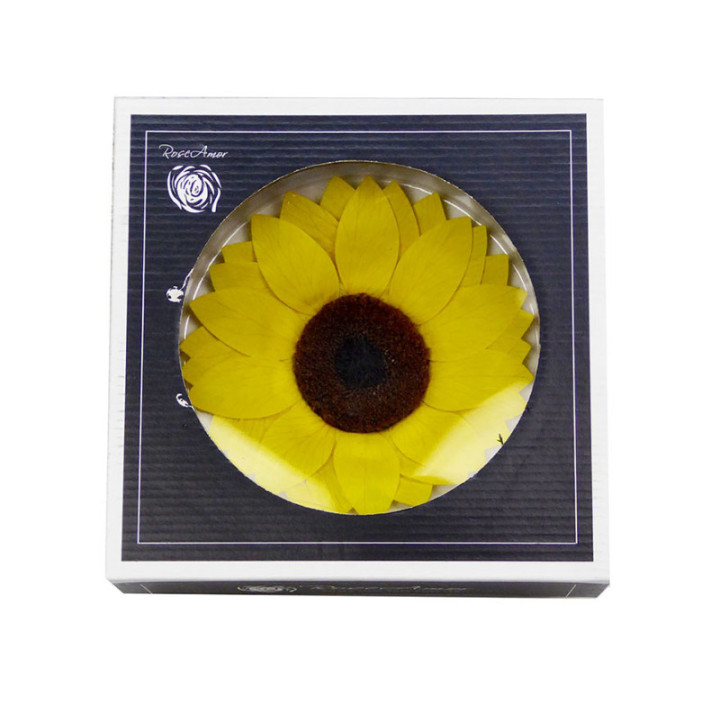 GIRASOL PRESERVADO AMARILLO1