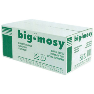 ESPONJA BIG MOSY1