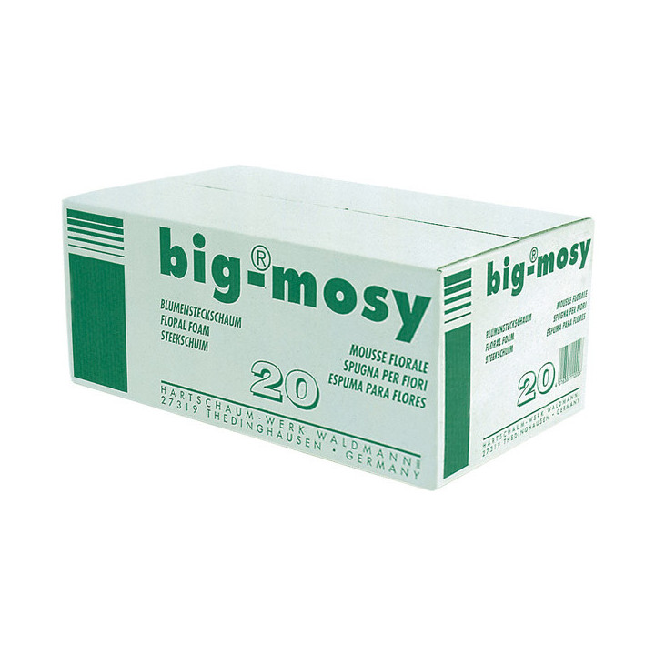 ESPONJA BIG MOSY1