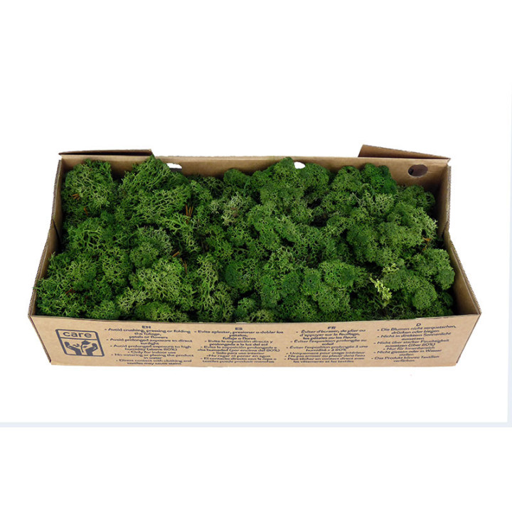 MUSGO POLAR PRESERVADO 500G MOI/01002