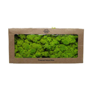 MUSGO POLAR PRESERVADO 500G MOI/01101