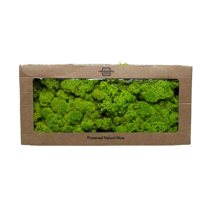 MUSGO POLAR PRESERVADO 500G MOI/01101