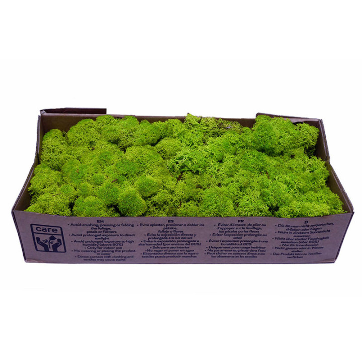 MUSGO POLAR PRESERVADO 500G MOI/01102