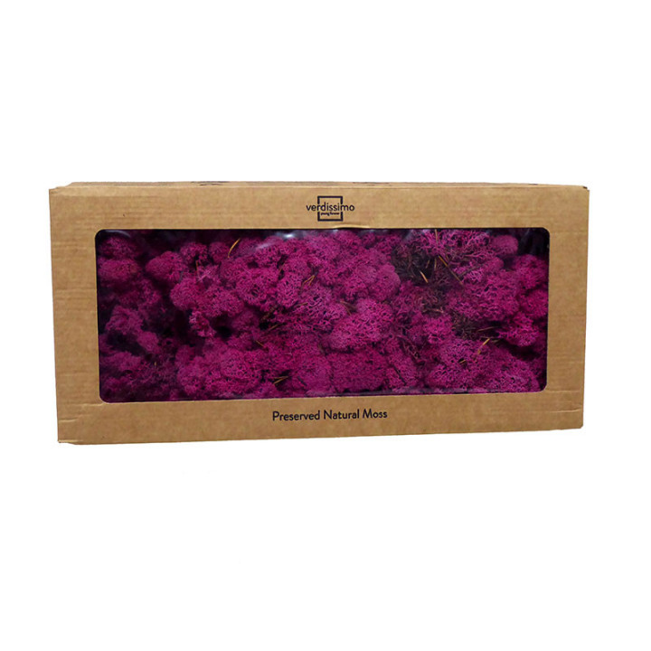 MUSGO POLAR PRESERVADO 500G MOI/04901