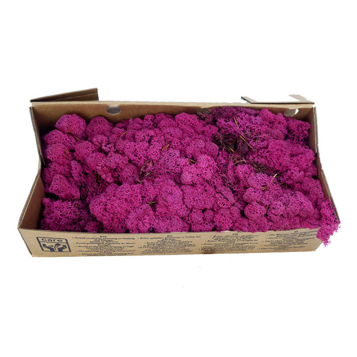 MUSGO POLAR PRESERVADO 500G MOI/04902