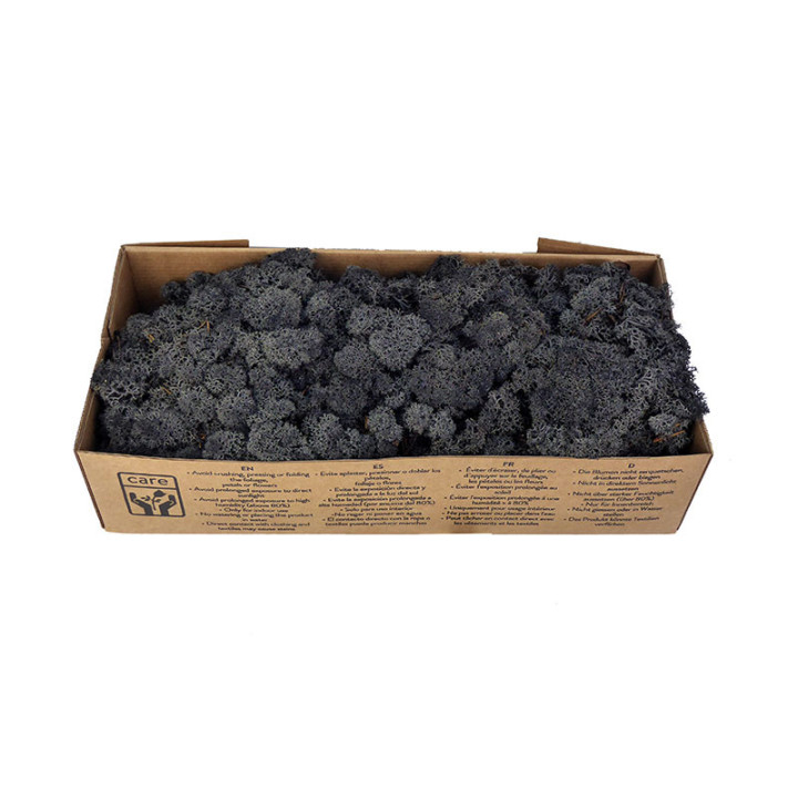 MUSGO POLAR PRESERVADO 500G MOI/09902