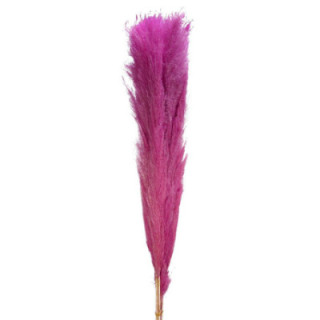 CORTADERIA ROSA 1401