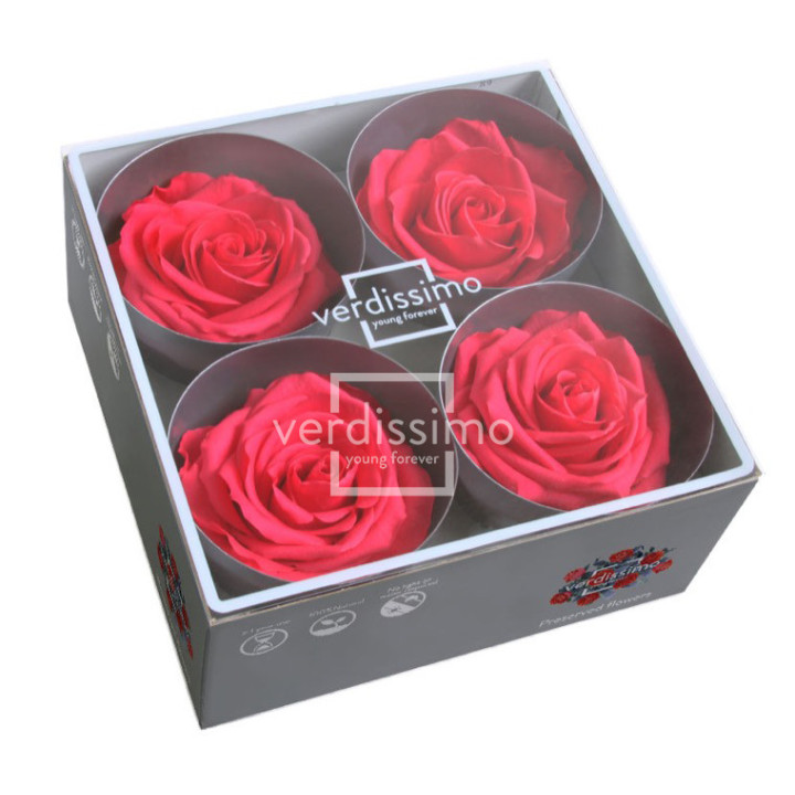 ROSA PRESERVADA PREMIUM 4 UNID RSG/24902