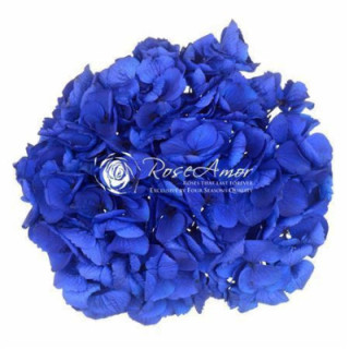 HORTENSIA PRESERVADA BLUE 031