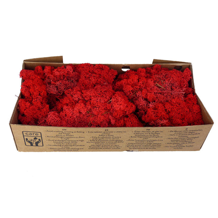 MUSGO POLAR PRESERVADO 500G MOI/02002