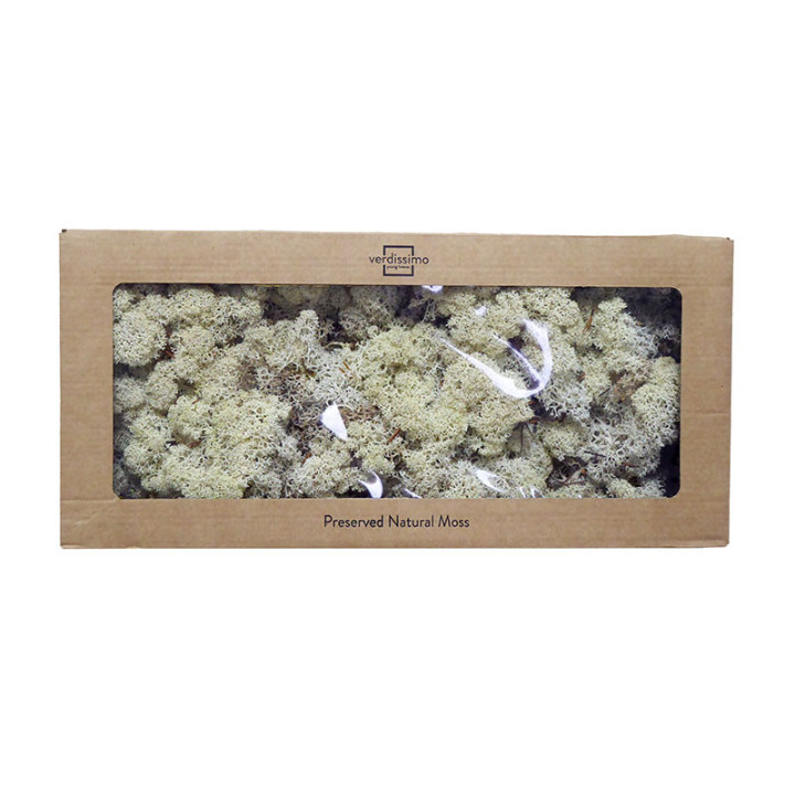 MUSGO POLAR PRESERVADO 500G MOI/00001