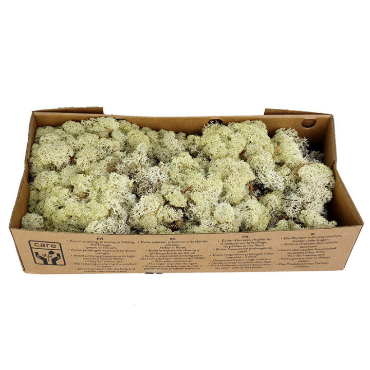 MUSGO POLAR PRESERVADO 500G MOI/00002