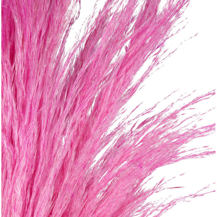 CORTADERIA ROSA CLARO 120 X8 TALLOS2