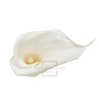 MINI CALA PRESERVADA CREMA MCL/50001