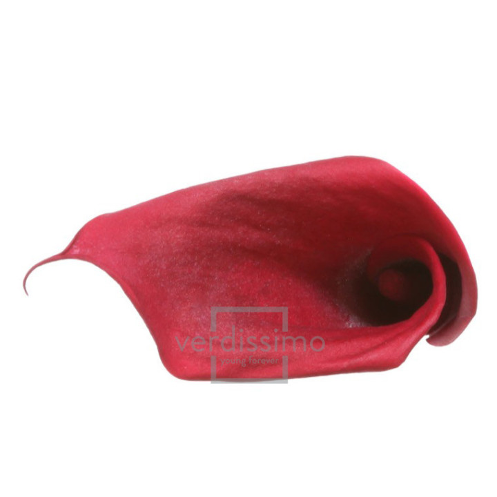 MINI CALA PRESERVADA BURDEOS MCL/58001